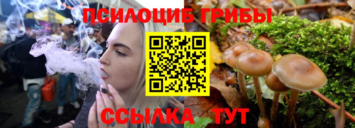 Псилоцибиновые грибы Psilocybe  Галлюциногенные грибы Psilocybine cubensis  Звенигород  Вход с VPN 